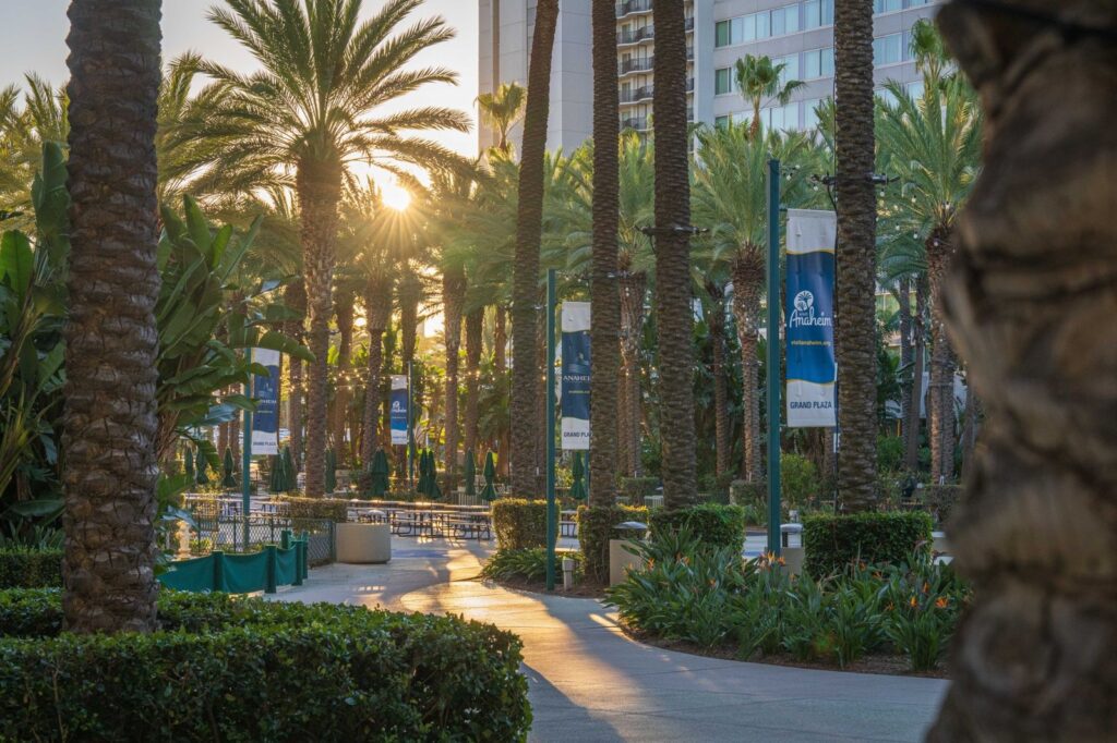 Sunset through the palm trees and Visit Anaheim banners at the Grand Plaza by the Anaheim Convention Center, The Lavatory Los Angeles