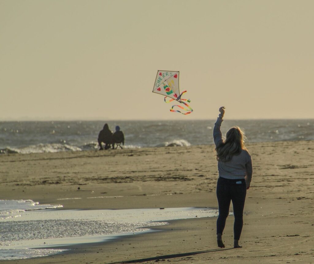 Person flying a kite on the beach at the water's edge, The Lavatory Los Angeles
