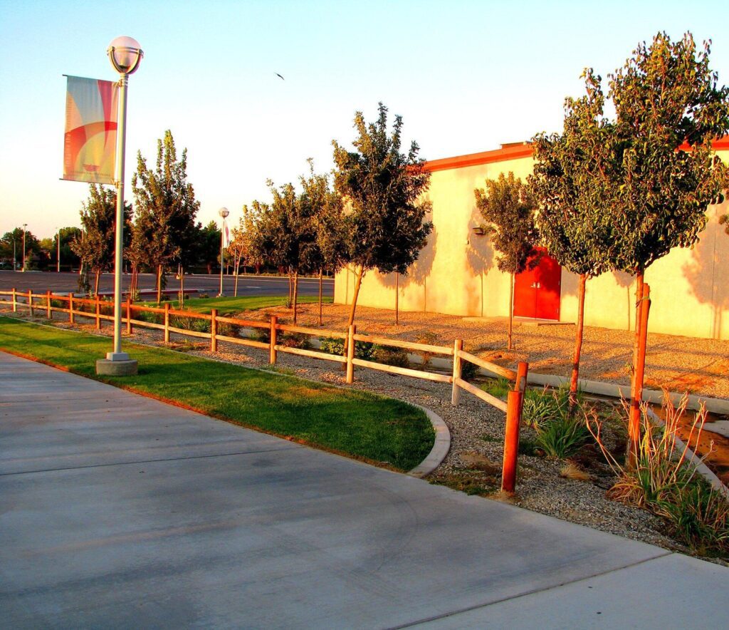 Campus walkway lined with trees at Antelope Valley College in Lancaster, CA, The Lavatory Los Angeles