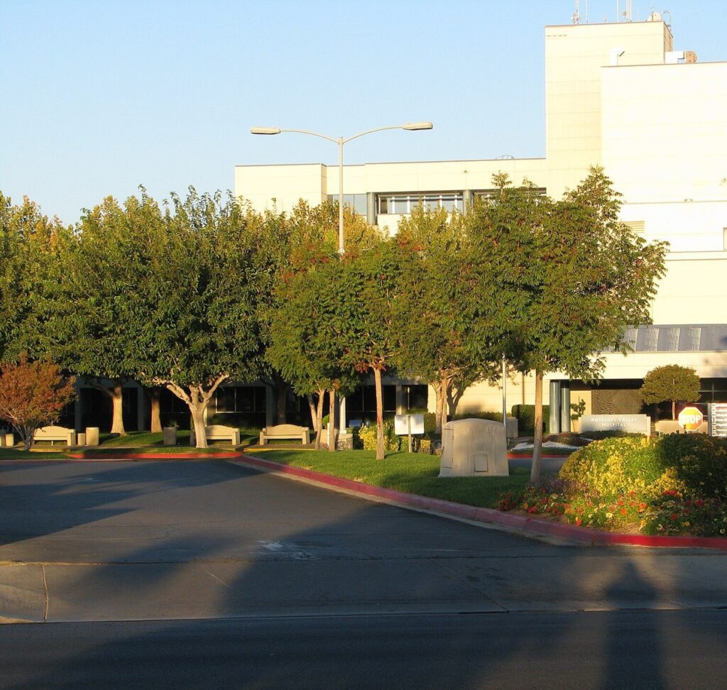 Tree lined entrance drive at the Antelope Valley hospital campus in Lancaster, CA, The Lavatory Los Angeles