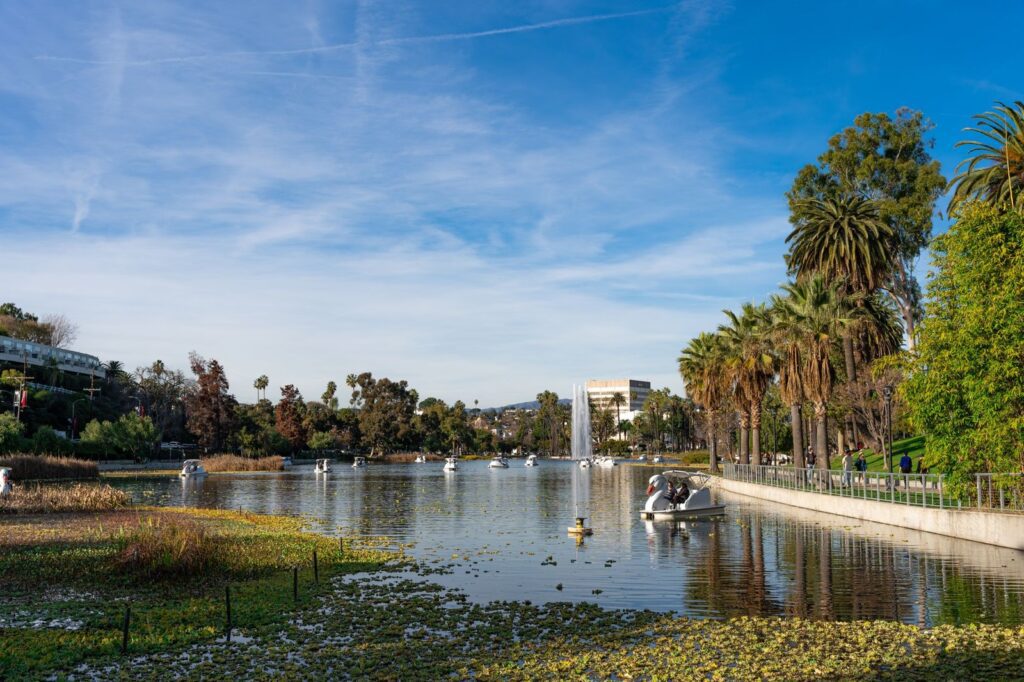 Echo Park Lake with its fountain, pedal boats and palm trees in Los Angeles, The Lavatory Los Angeles