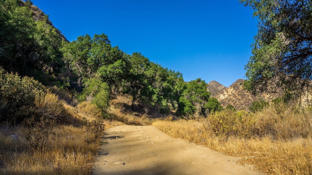 Dirt trail through oak trees and dry grass in Towsley Canyon, Santa Clarita, CA, The Lavatory Los Angeles