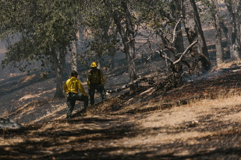 Two members of a fire crew walking through a burned oak woodland after a wildfire, The Lavatory Los Angeles