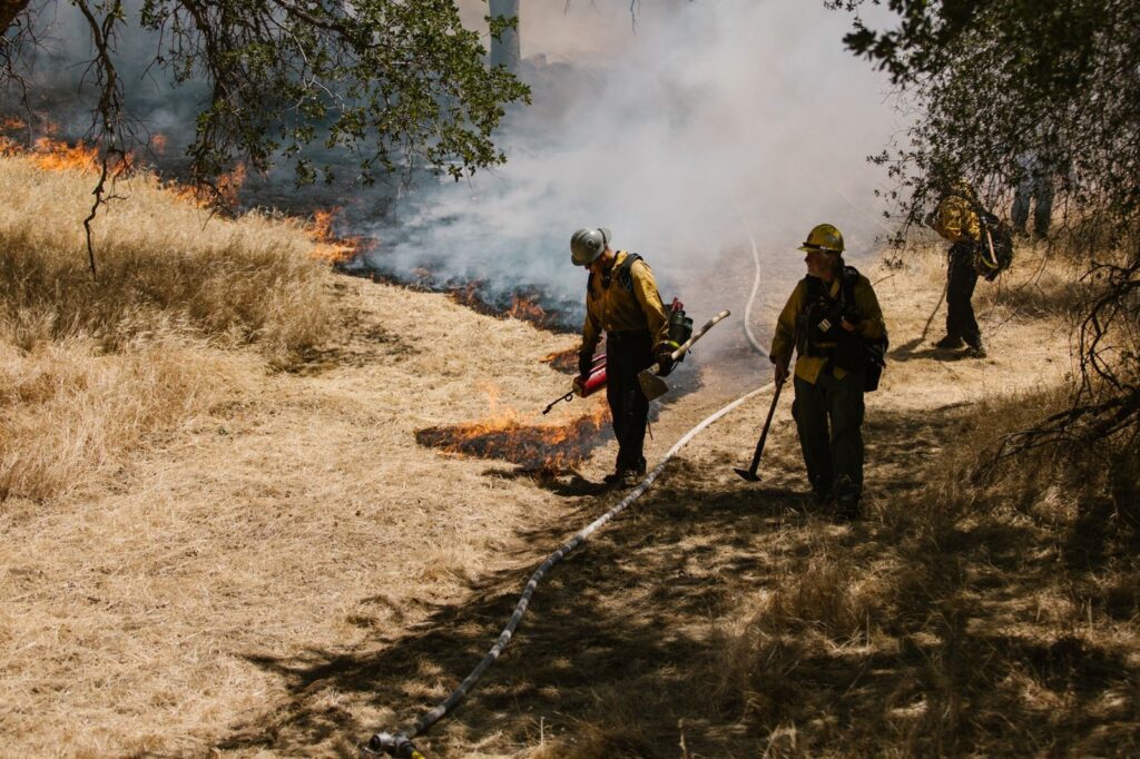 Wildland fire crew in yellow gear working a grass fire line under oak trees, The Lavatory Los Angeles